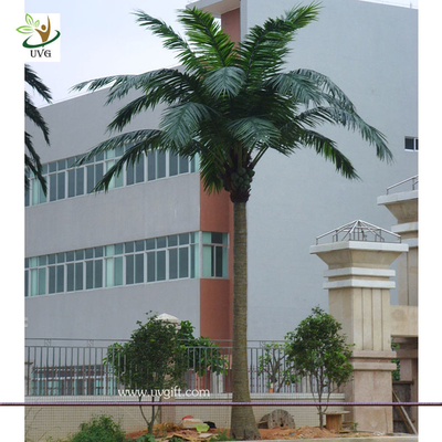 China UVG PTR008 20ft tall Wholesale artificial coconut palm tree in fiberglass trunk for Garden supplier