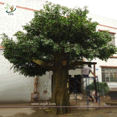 China UVG Durable and burly garden decoration plastic trees with silk artificial banyan leaves supplier