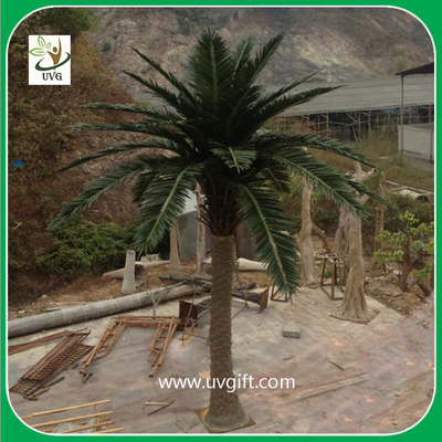China UVG PTR029 5 meters fiberglass fake palm trees for outside amusement park decoration supplier