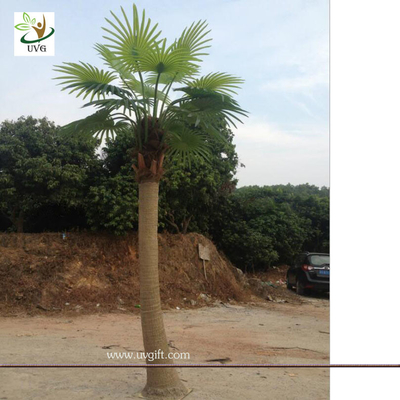 China UVG PTR038 eco friendly decorative outdoor fake palm trees for sale supplier