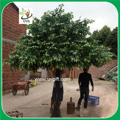 China UVG GRE045 ornamental green banyan tree artificial outdoor trees for office decoration supplier