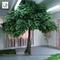 UVG indoor and outdoor walkway decoration realistic banyan artificial tree sale 13ft high GRE053 supplier
