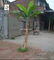 UVG decorative fake plant artificial banana tree in plastic fruit for offiice decoration supplier