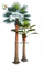 UVG PTR048 factory price fake coconut palm tree for indoor office landscaping supplier
