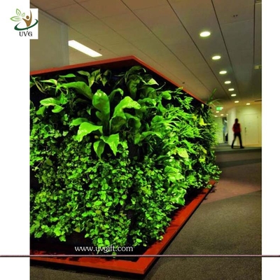 China UVG GRW09 Wholesale green artificial plants for Plastic Green Wall garden landscaping supplier