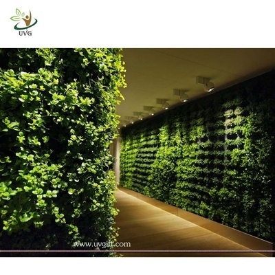 China UVG GRW020 Walls Decore Plastic Plant Green Wall Manufacturers garden decking supplier