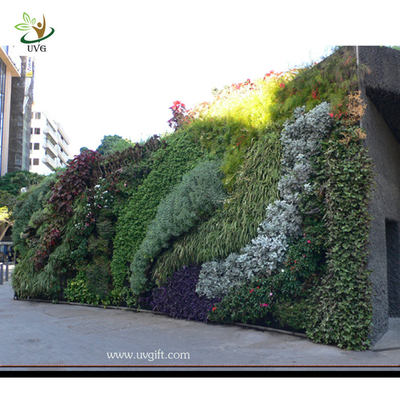 China UVG Green Vertical Wall Garden Fake Plastic Plants Grass walls for garden landscaping supplier