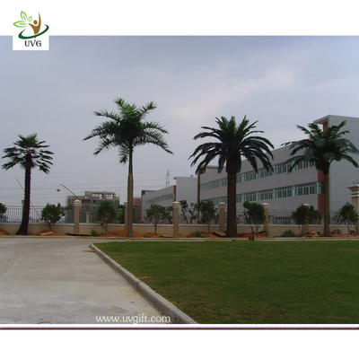 China UVG PTR009 20ft Artificial outdoor palm trees with fiberglass trunk for park decoration supplier