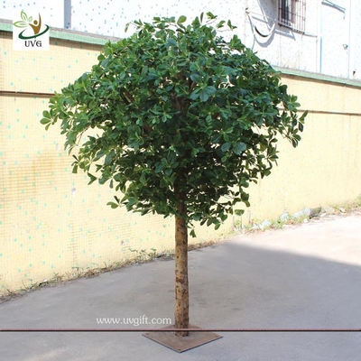 China UVG GRE024 Wholesale green artificial money tree plant for restaurant decoration 6ft high supplier