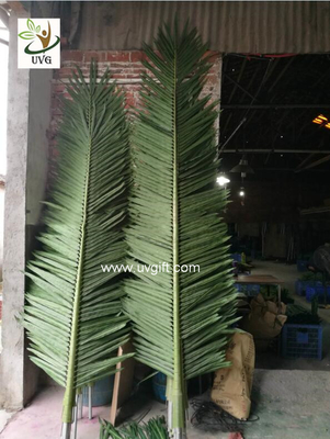 China UVG level 8 wind resistance outdoor ornamental artificial palm tree branches and leaves for theme park landscape PTR057 supplier