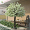 UVG planning a wedding fake white cherry blossom tree for indoor decoration CHR071 supplier