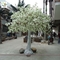 UVG home landsacping high simulation white cherry flower artificial tree for weddings CHR012 supplier