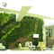 UVG Indoor Walls decoration Artificial Plant Wall building landscaping GRW05 supplier