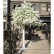UVG white artificial trees and flowers cherry blossom wedding tree for event planner CHR005 supplier
