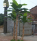 UVG decorative fake plant artificial banana tree in plastic fruit for offiice decoration supplier