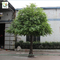 UVG GRE040 17ft tall outdoor decorative artificial trees with fake banyan tree branch for park decoration supplier