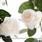 UVG CHR148 Factory direct sales floral arrangements rose flower artificial vine for home furnishing decoration supplier