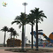 UVG evergreen artificial coconut palm trees with silk leaves for outdoor theme park landscaping PTR059 supplier