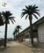 UVG large glassfiber artificial palm tree outdoor with green silk leaves for water world decoration PTR060 supplier
