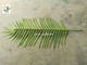 UVG cheap fake indoor plastic palm tree leaves wholesale for party and events decoration PTR062 supplier