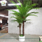 UVG wedding arrangements cheap plastic coconut leaves indoor artificial palm trees for table decorations supplier