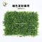 UVG landscap boxwood hedge artificial plastic grass for interior swimming pool decoration GRS26 supplier