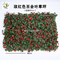 UVG indoor landscaping garden synthetic grass with plastic leaves for christmas decoration GRS27 supplier