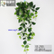 UVG interior decoration 1 meter green hanging faux ivy with plastic vine leaves for sale CHP01 supplier