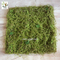 UVG 30cm micro soft artificial grass mat with nylon moss for beach wedding decor GRS042 supplier