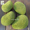 UVG preserved artificial moss stones décor rock for garden grass ornaments to planning a wedding GRS040 supplier