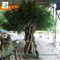 UVG huge banyan artificial decorative trees with hollow trunk for school library landscaping GRE068 supplier