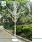 UVG white plastic model artificial trees with dry tree branches for christmas decoration DTR35 supplier