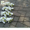 UVG Tree branches for centerpieces with white artificial cherry blossom indoor wedding use CHR091 supplier