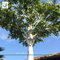 UVG 20 foot tall synthetic trees artificial ornamental trees with banyan branches best gift for engineers GRE067 supplier
