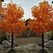 UVG garden ornament autumn fake dwarf maple tree for interior decoration 12ft high GRE071 supplier