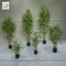 UVG indoor bonsai silk artificial bamboo for office decoration PLT20 supplier