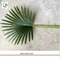 UVG environmentally friendly material fake plastic Fan palm leaves for indoor trees decoration PTR063 supplier