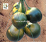 UVG realistic decorative artificial palm coconut use for false trees PTR045 supplier
