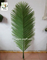 UVG foxtail artificial coconut tree leaves wholesale in china for roof decoration PTR044 supplier